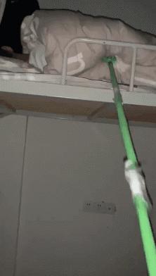 一进门就看见小蜜蜂在追着神奇女侠