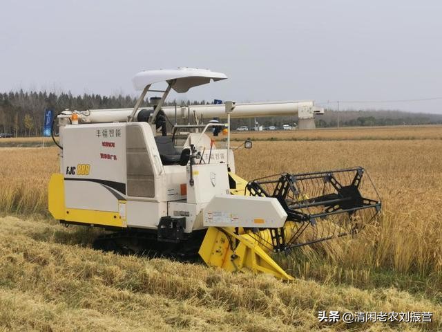 新冠肺炎对农林牧渔业行业的影响,新冠肺炎对农业企业影响