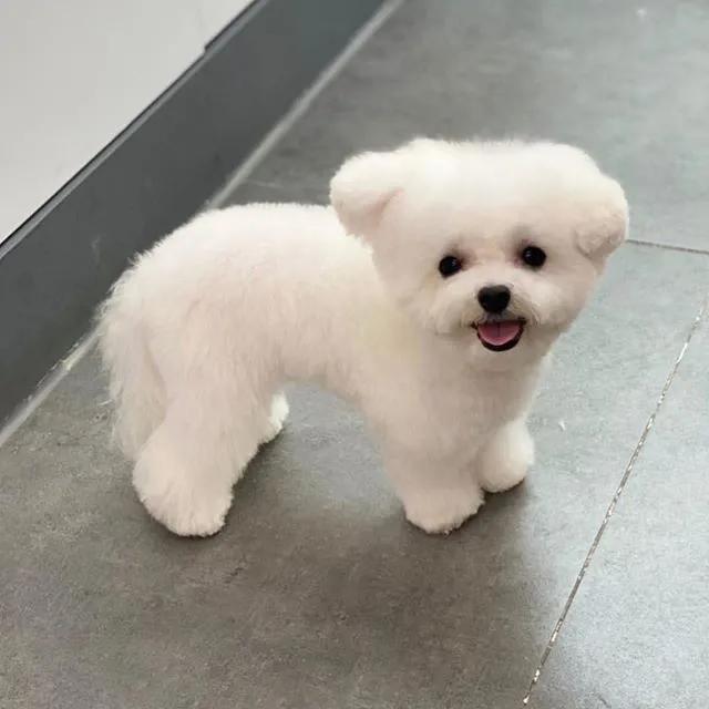 拿什么方式减压,有什么最好的减压方法