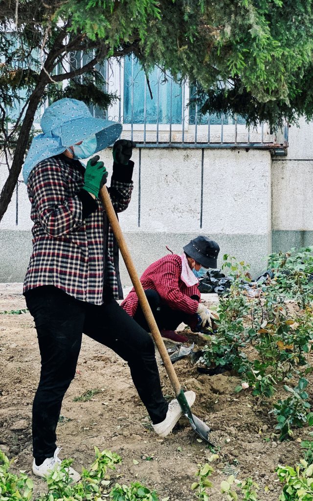 让生活褪去繁忙|iPhone与协作伙伴们的沉浸体验之行
