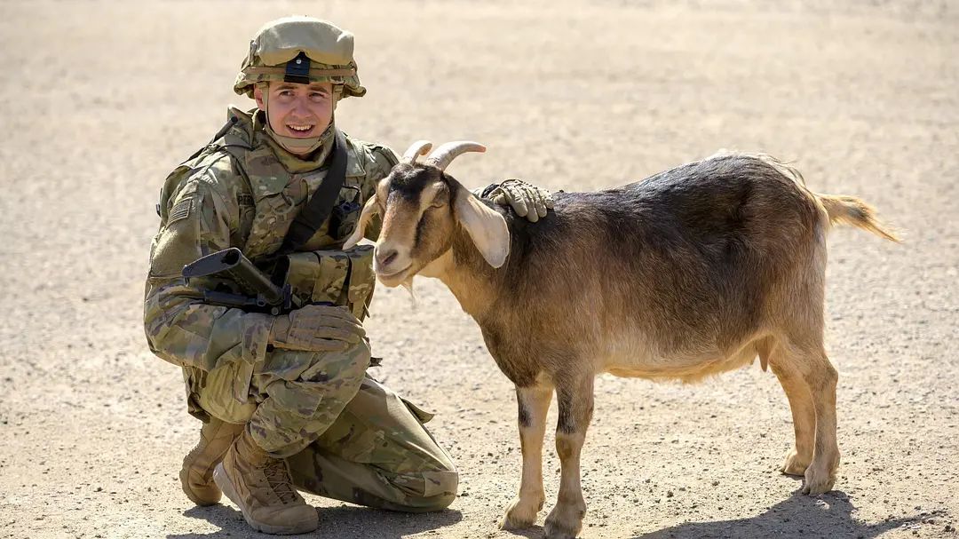 不及格电视剧免费全集,不及格美剧
