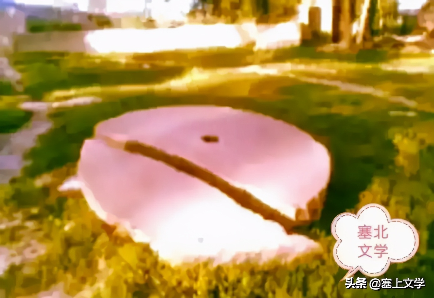 张炜散文原文,张炜散文奔腾