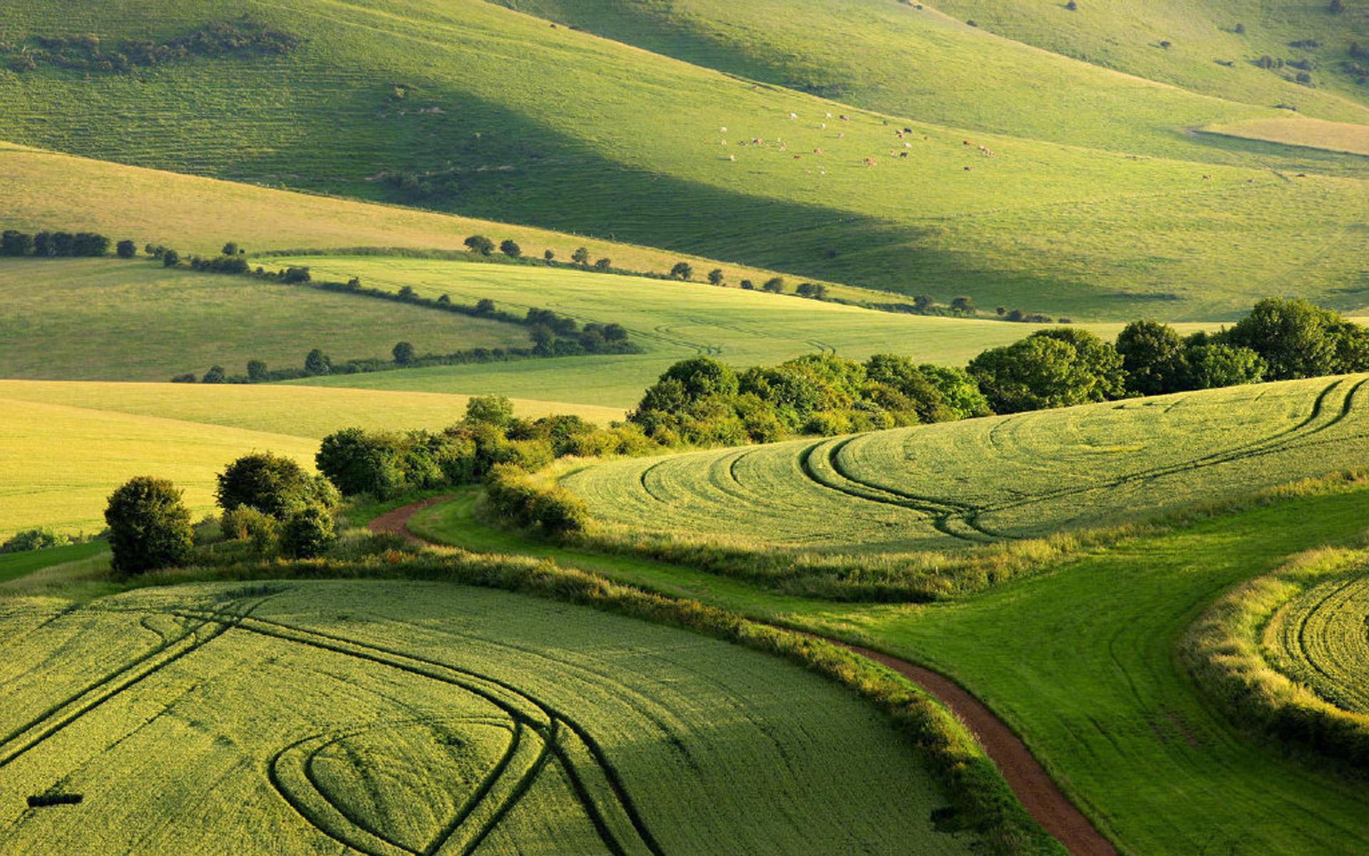 绿创集团新能源,绿创集团新能源燃料