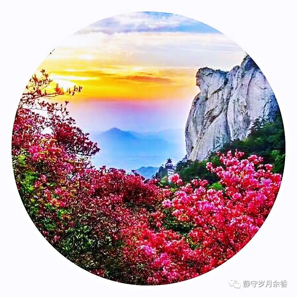 情满龟峰·诗涌花海