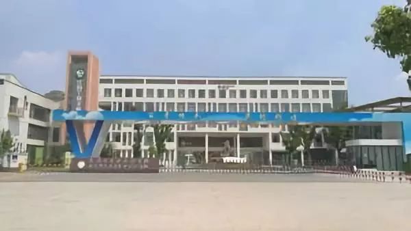 100%摇号民办校应对措施,摇号民办学校未来发展