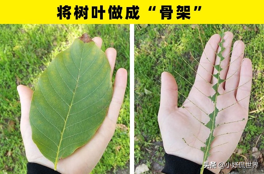 童年的记忆你做过哪些,小时候都做过的100件事