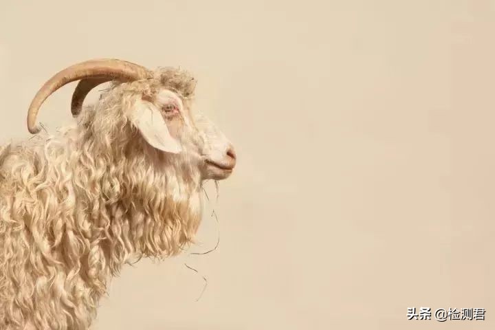 动物毛怎么收藏,各种动物毛纤维