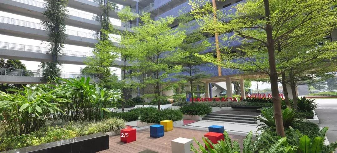 德胜学校国际部,德胜学校国际部有没有免费班