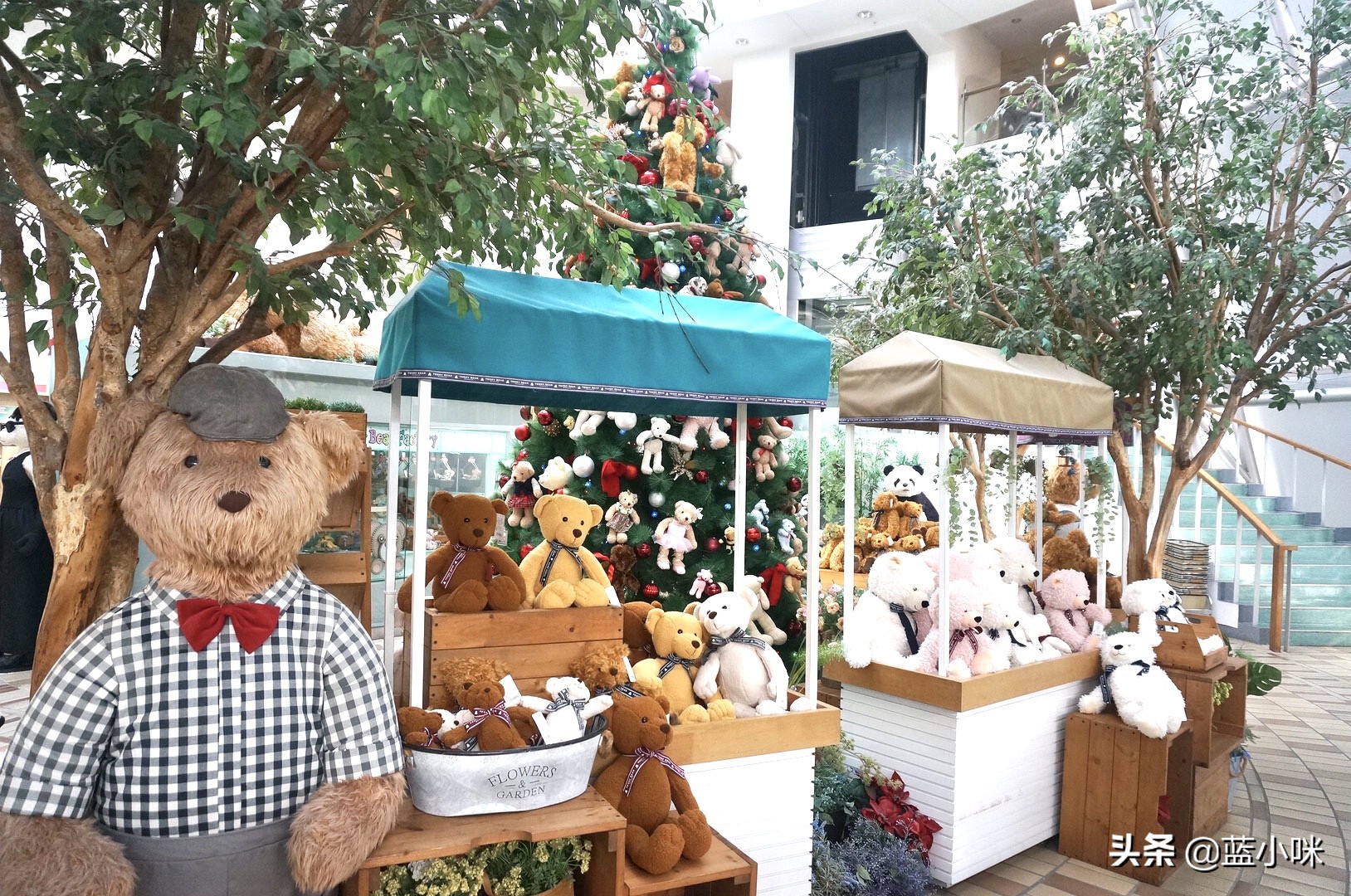 济州岛超全攻略,济州岛自由行超实用攻略