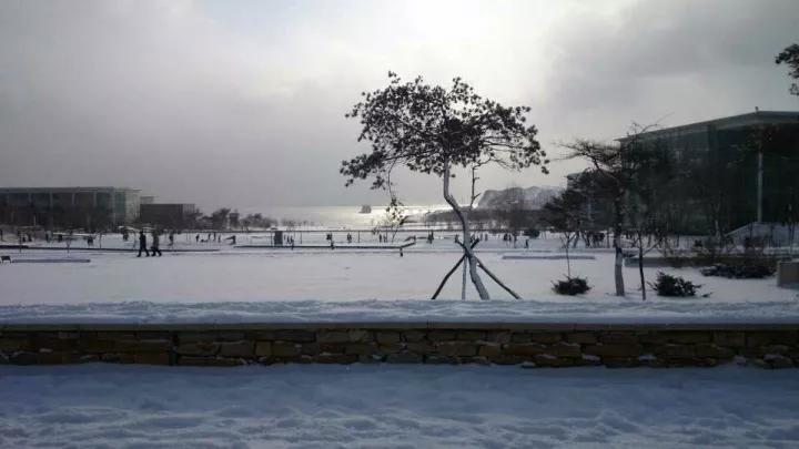 辽宁省高校（三十一）大连医科大学