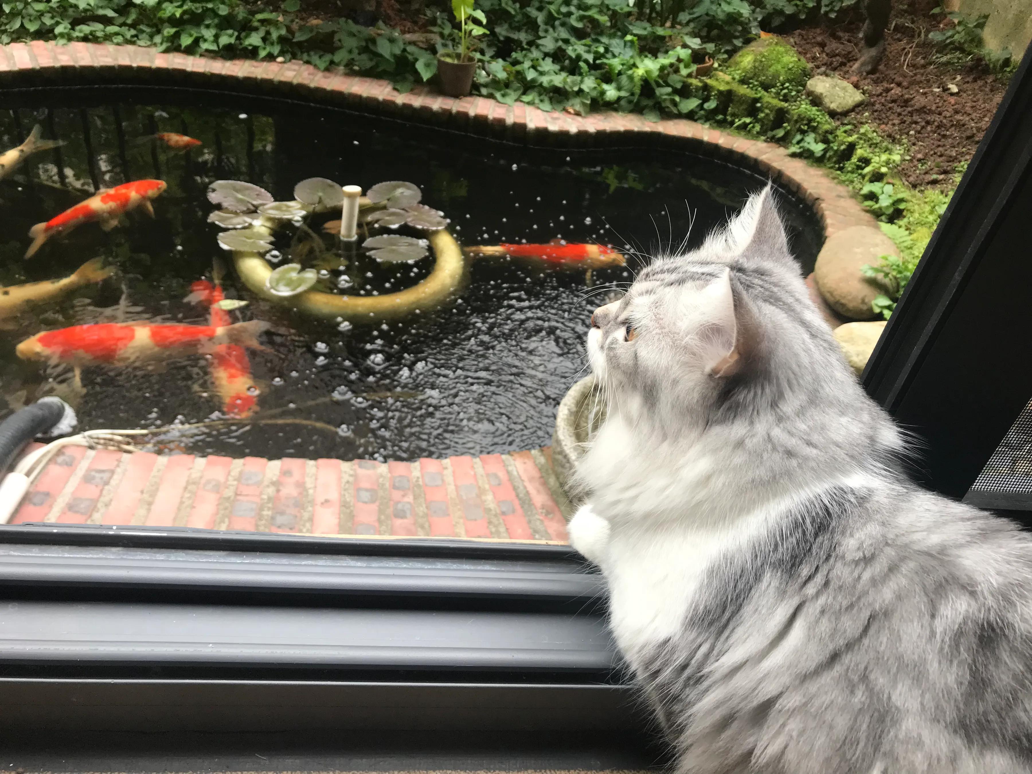 明天我的小屁屁要去深圳了