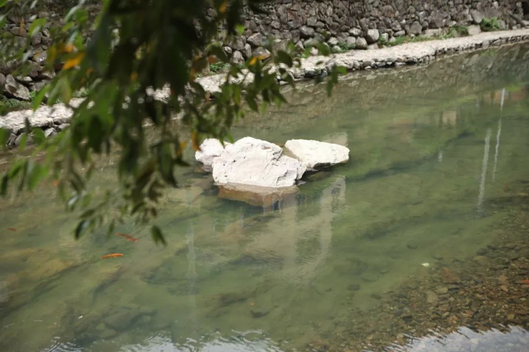 金华小九寨风景区,小九寨原始森林半日游