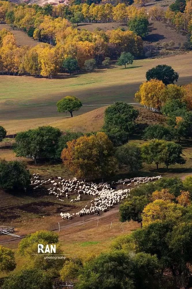 探寻高原深闺领略川西风情,探寻这些美不胜收的景点