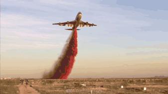 你们是如何发现自己怀孕的,你是怎么发现自己怀孕的是什么梗