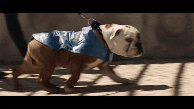 宜家赚不赚钱,宜家不务正业