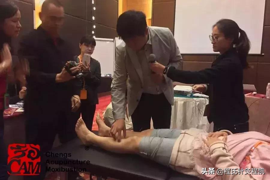 程莘农三才针法,程莘农程氏三才针法