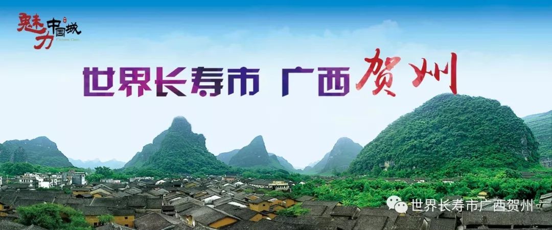 贺州市招商引资项目有哪些,广西2023年招商引资多少亿