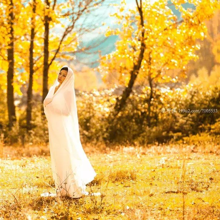 不曾爱过又何谈悲伤,爱不曾遗忘