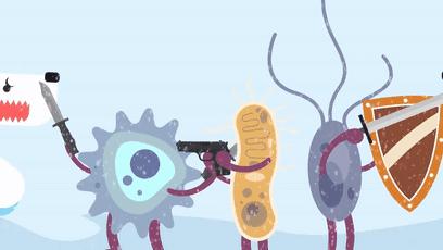 木乃伊泡水里吗,木乃伊泡水喝