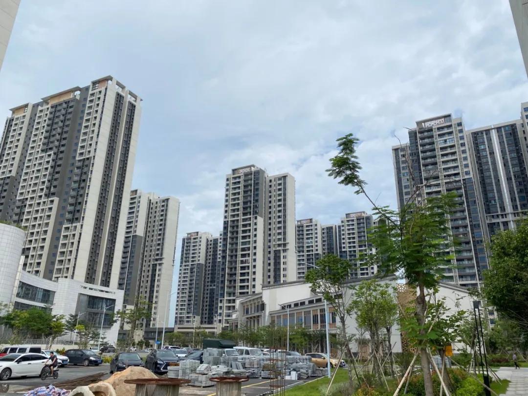 必经之路上积水成河的房子，凭什么这么贵？