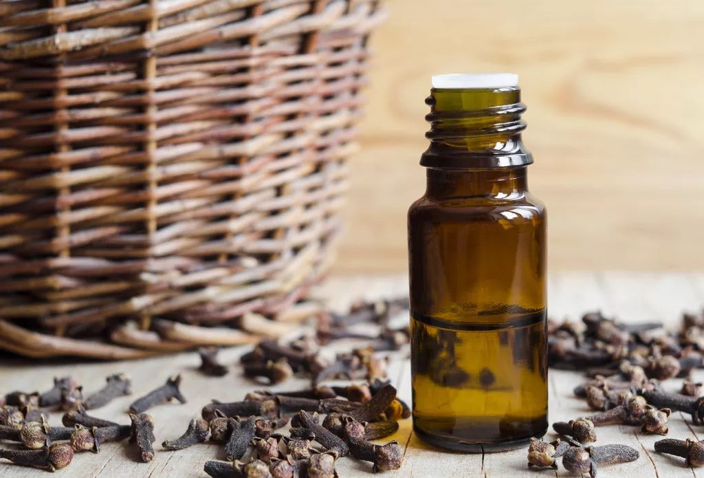 消除炎症的精油有哪些成分,十大必备的精油有哪些