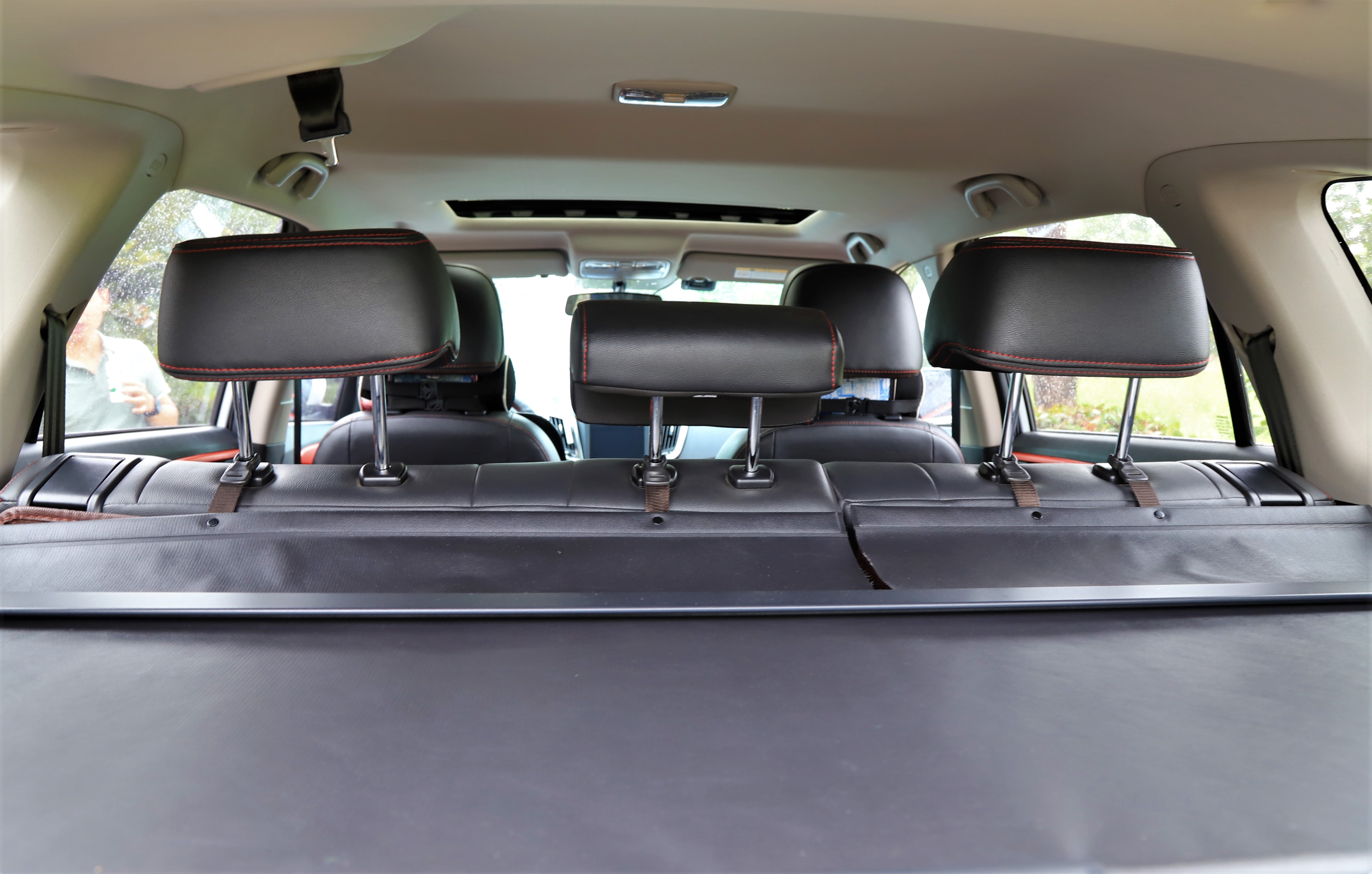 秋高气爽公园散步随拍,深秋天津的郊野公园