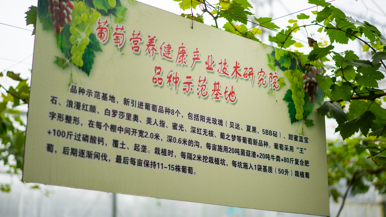 心仪之城连云港,心仪之城赣州