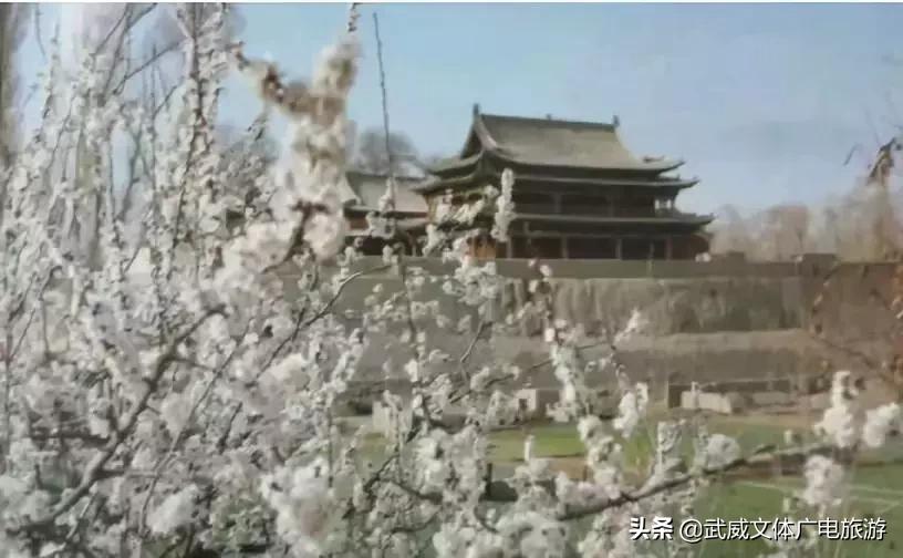 1959的武威老照片,武威老照片40里铺