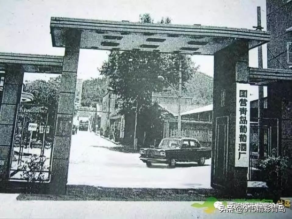 青岛葡萄酒有哪些,葡萄酒发展史青岛