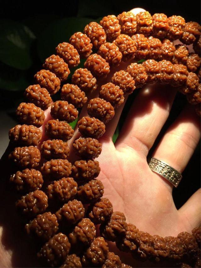 现在不玩金刚菩提了都玩什么,金刚菩提的基础知识