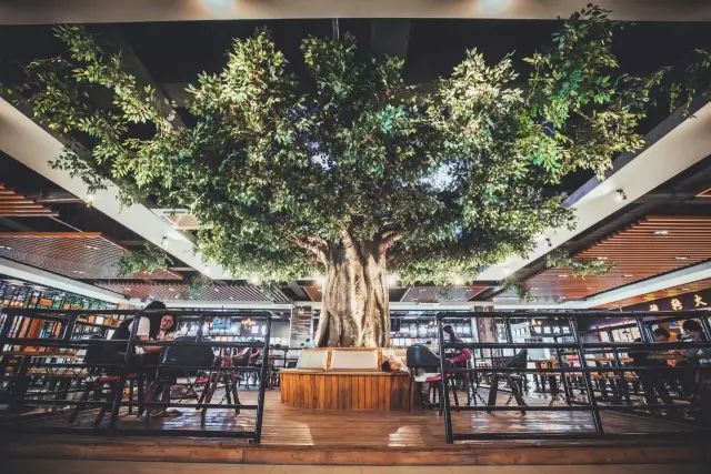 高校网红食堂盘点,河北一高校网红食堂