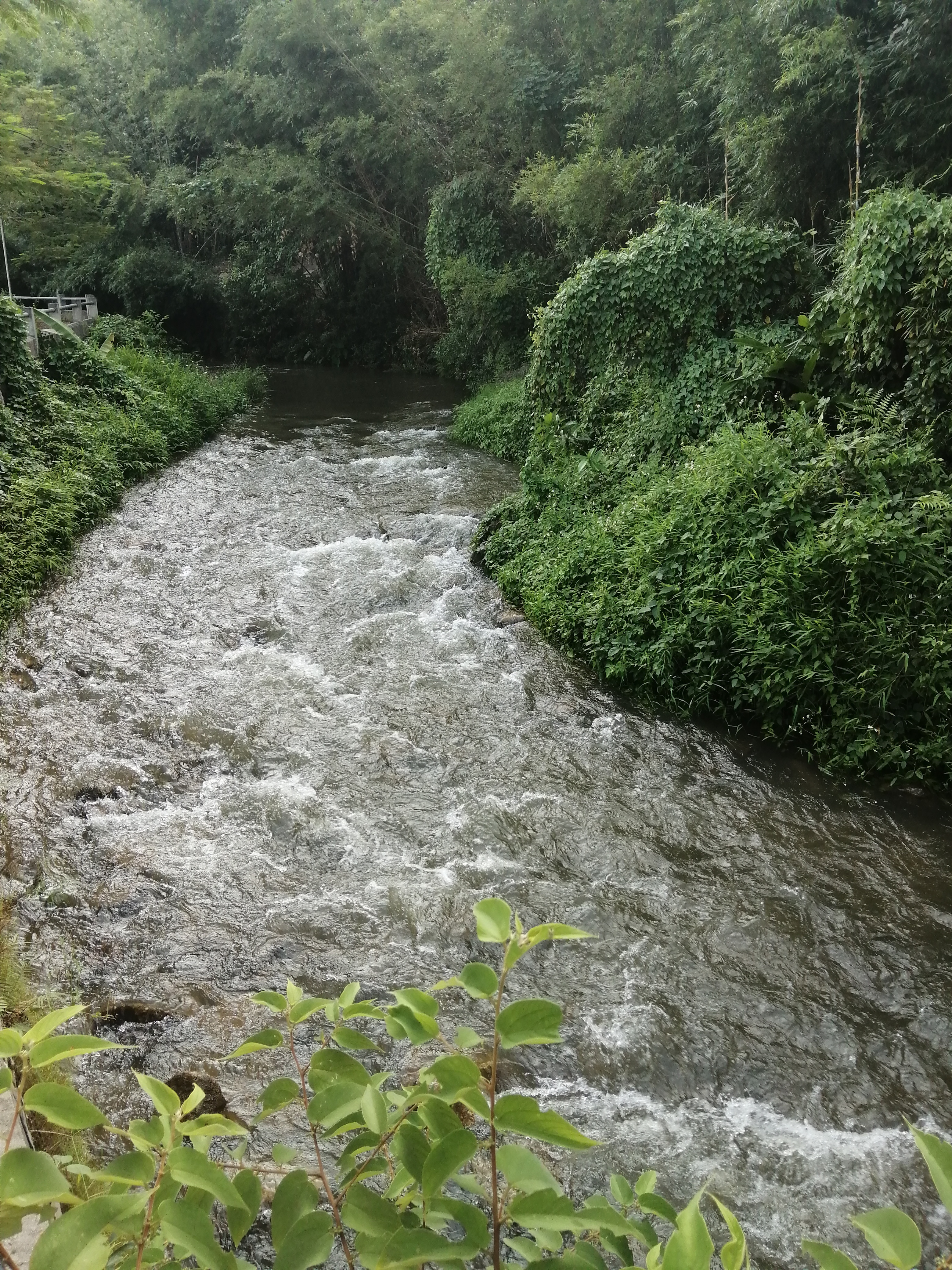 博罗雷公峡露营,象头山雷公峡漂流保护区