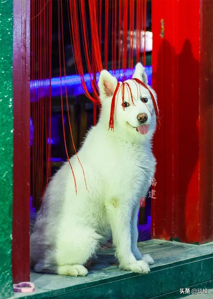 一个贫困渔村的华丽蜕变,一个小渔村成为国际大都市