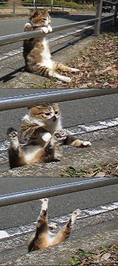 就喜欢这样自欺欺人的广告