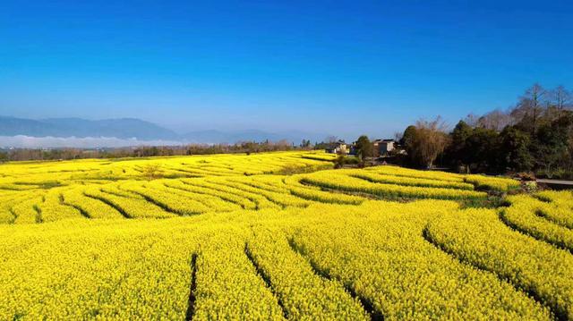 意境最深最美的诗句,最美的诗句语录