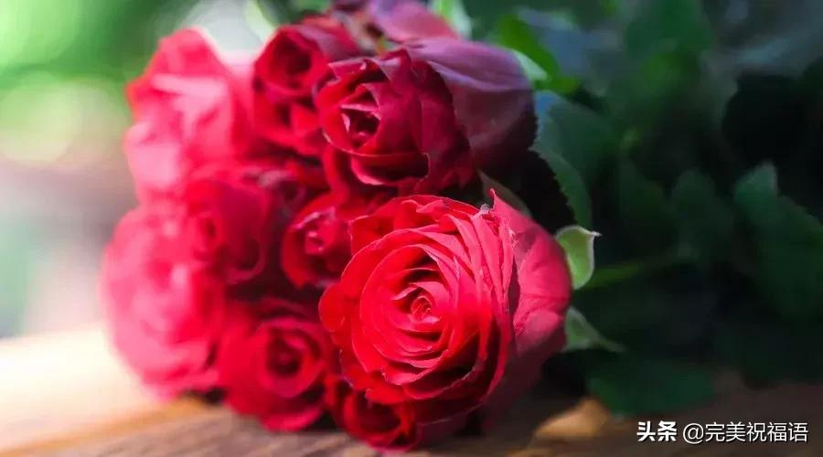 一岁一心境一年一感悟文案,一生一世一心一意深度好文