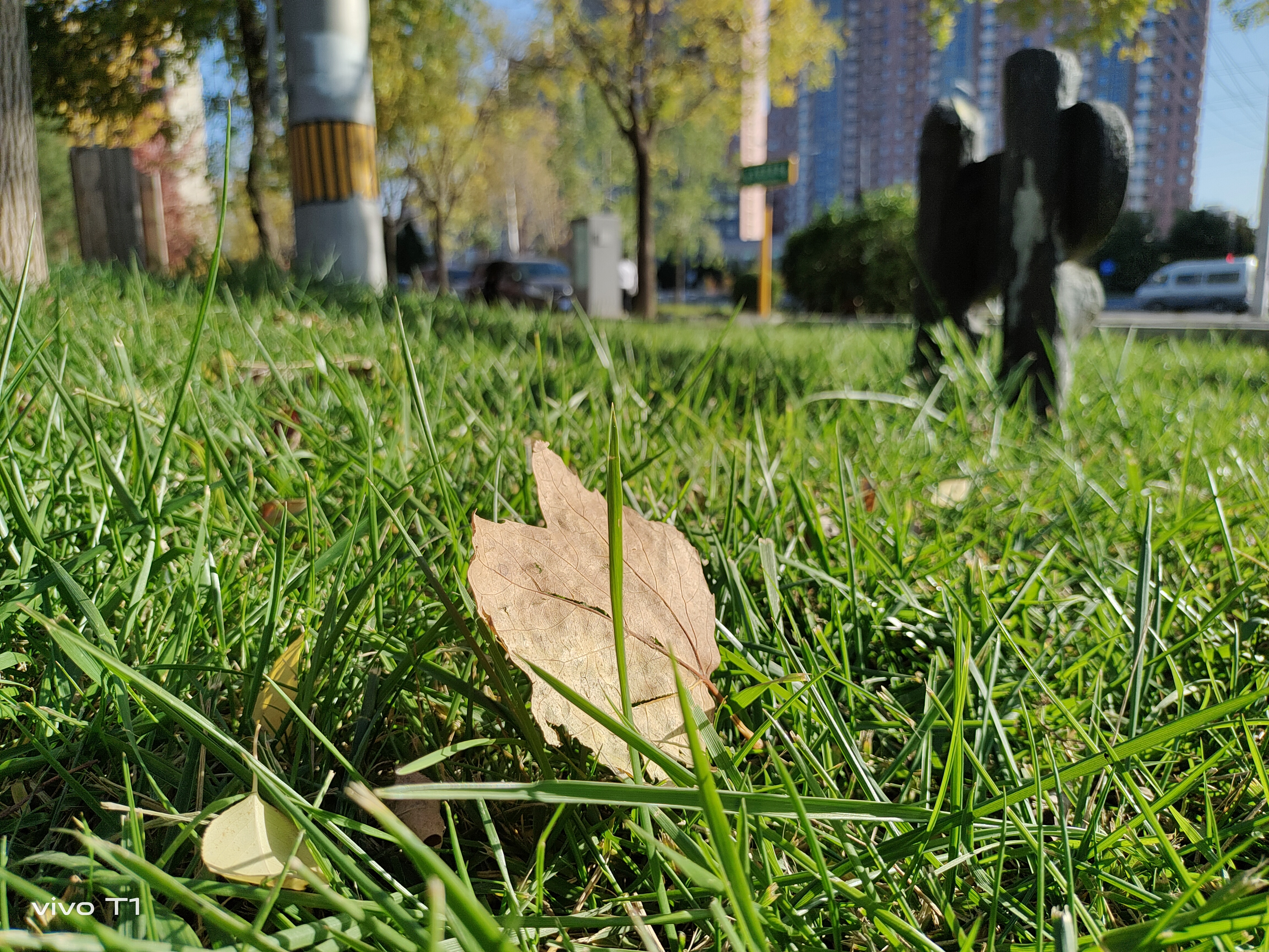 vivoT1全面评测,vivot1日常使用值不值得入手