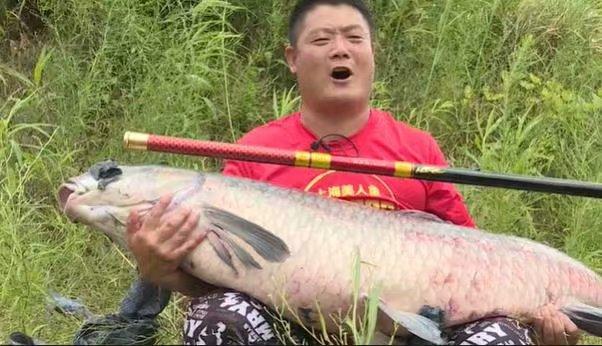 什么是一款好鱼竿,什么是好手竿