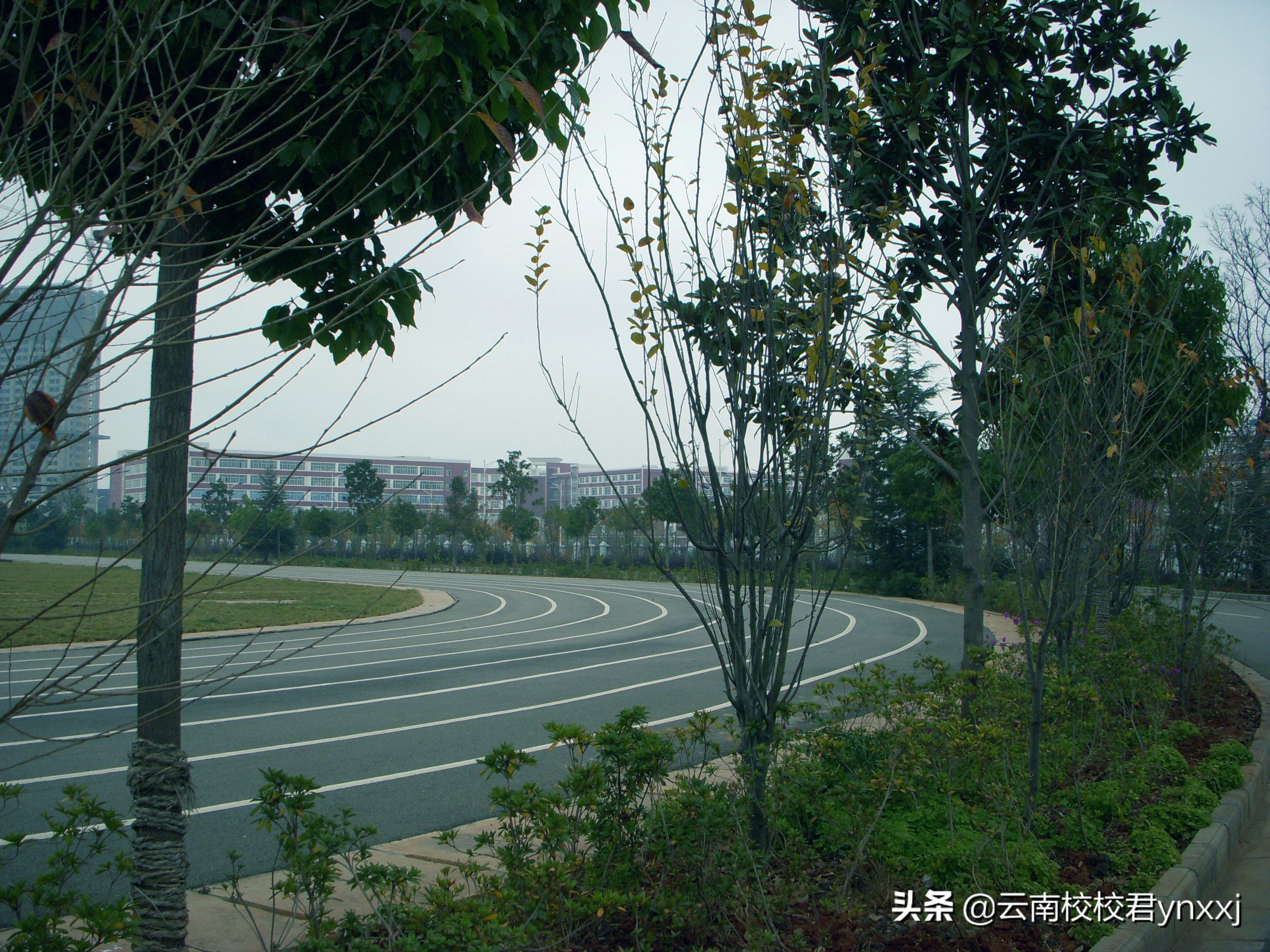 云南曲靖财经学校,曲靖财经学校怎样