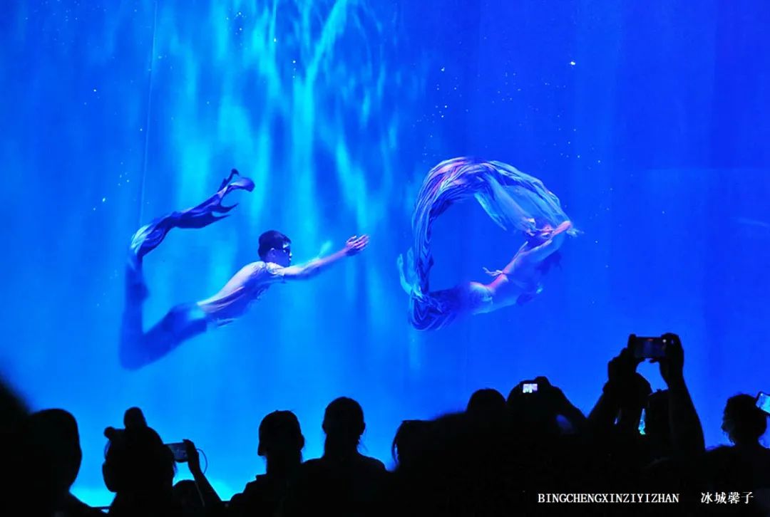 走进哈尔滨完整视频,走进哈尔滨海洋馆