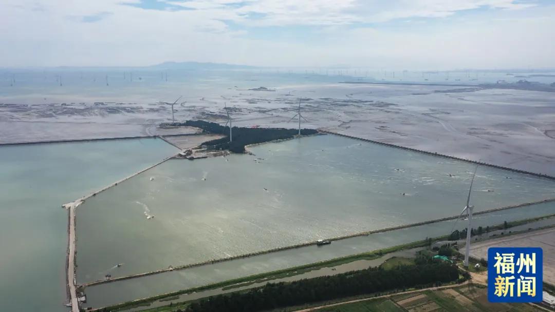 年产值超7000万元！来看沙埔镇这个渔村的“致富密码”