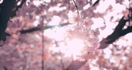 星巴克春日限定樱花星冰乐,星巴克樱花限定加樱花