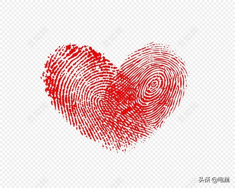 指纹识别技术最核心的是什么,指纹识别技术原理论文