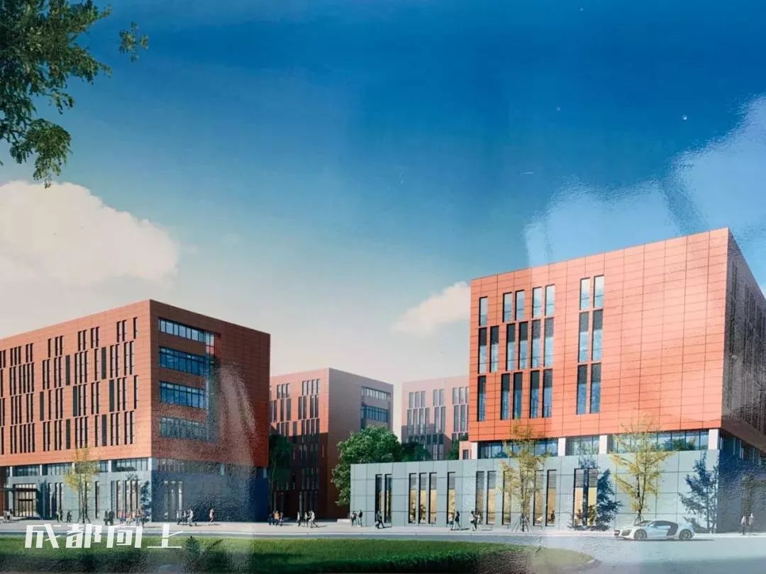 大运村建设火热朝天，成都大学已经上天