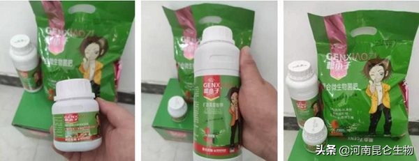 西红柿苗子不发新根什么原因,西红柿怎样才能不坏苗结果多