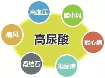 体检发现尿酸高有痛风迹象怎么办,长期血尿酸增高容易引起痛风