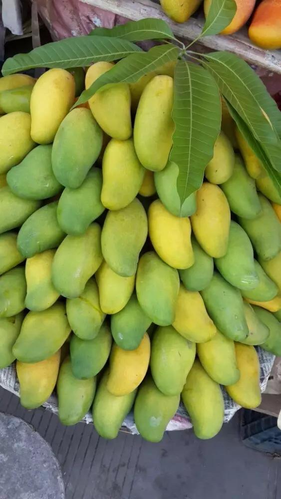 疫情过后一起去吃遍美食,疫情中的美食攻略