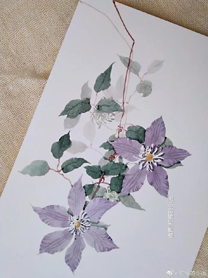 分享一组好看的小清新水彩插画,不来看看简单水彩小插画的教程吗