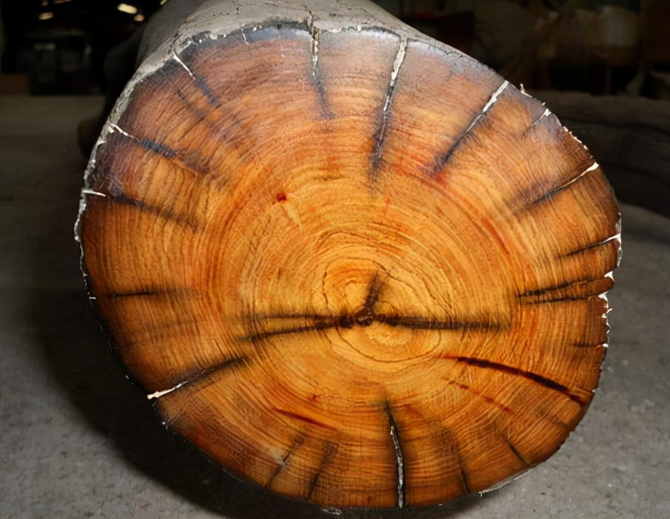 常见木材的种类简介及图片,常见木材的种类档次