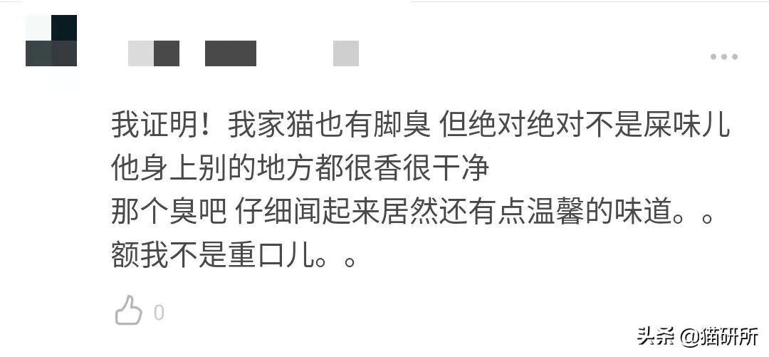 猫咪的脚丫子总是猫屎味 (为啥猫咪脚丫子臭)